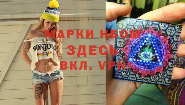 СК Алексин