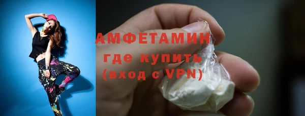 СК Алексин