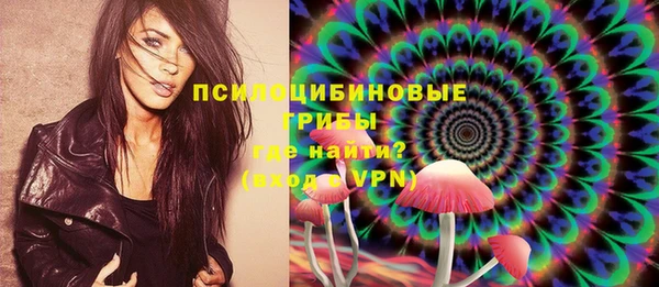 а пвп мука Алзамай