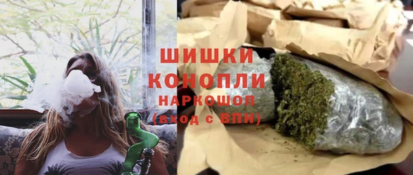 СК Алексин