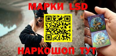 гашик Кандалакша