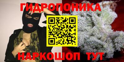 гашик Кандалакша