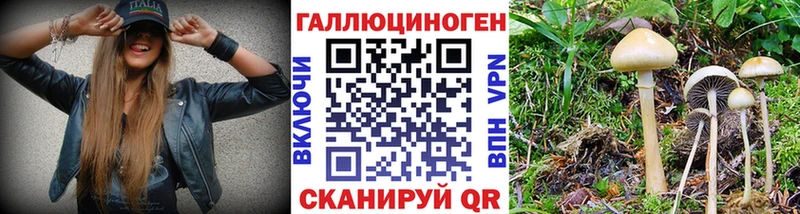 Псилоцибиновые грибы Magic Shrooms  магазин продажи наркотиков  Нижний Новгород 