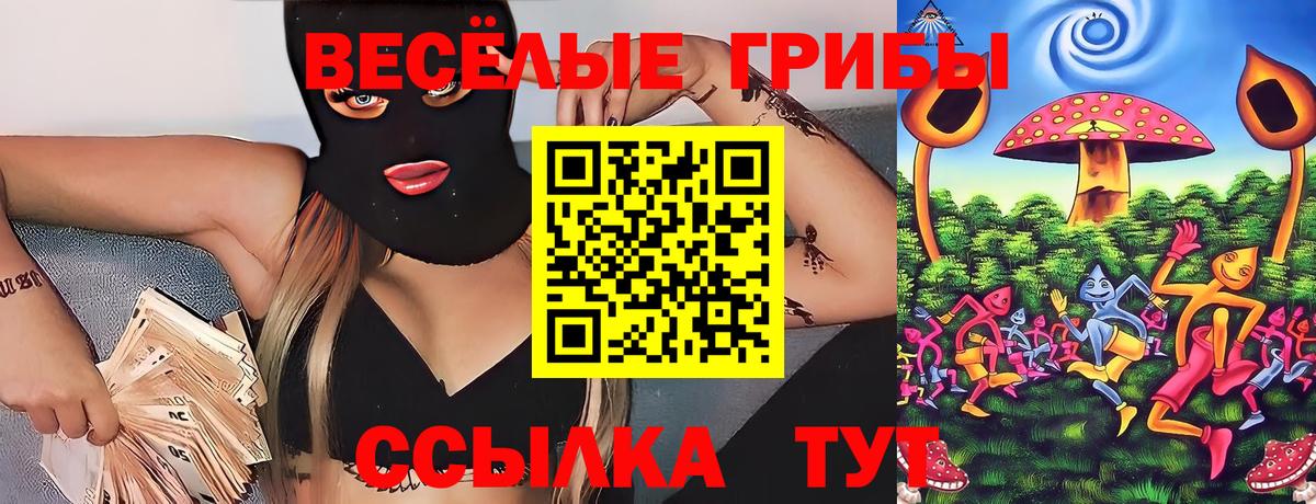 Псилоцибиновые грибы мухоморы  Вход с VPN  Нижний Новгород 